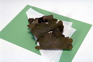 牡蠣とワインが楽しめるハッピーアワー