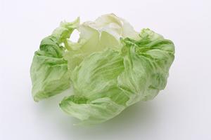 生餃子のお取り寄せができる専門店