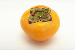 新宿サザンテラス – シェイクシャックの魅力と店舗情報