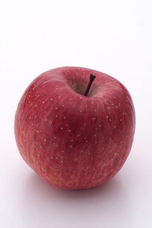 幅広いメニューが魅力の宅配弁当