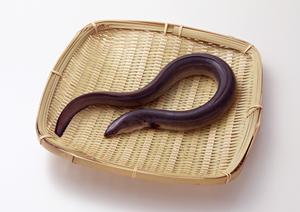 東京スカイツリーソラマチ店｜老舗のうなぎ料理専門店で家族みんなで楽しむ