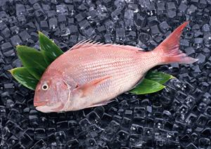 上品な東京水タバコが味わえる場所