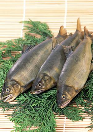 人気のオーダー式食べ放題のお店です