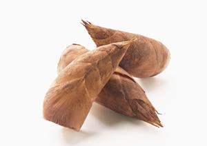 秋葉原のコンカフェでリアルな恋愛体験を！オタク文化を楽しむための完全ガイド