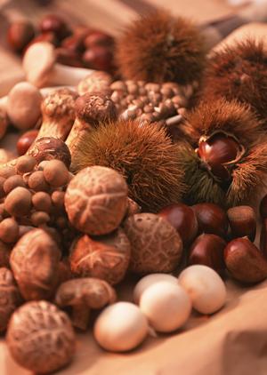 名古屋名物ひつまぶしの名店紹介：しら河の店舗情報と魅力的な特徴