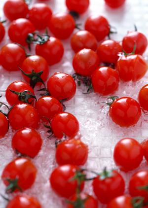 大阪長堀橋の隠れ家的和食居酒屋