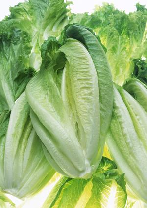 いつもの料理をもっとおいしくするために