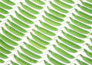 新宿で絶品の牡蠣と多彩なシーフードを楽しめるオイスターバー「Oyster Bar ジャックポット 新宿」