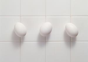 京都四条烏丸のシェイクシャック – 新しい味の体験