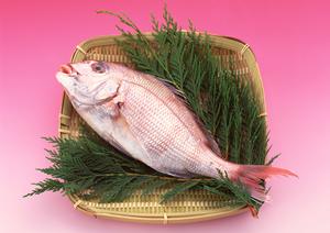 東京にある1950年創業の煎餅屋です